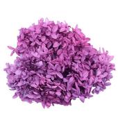 即日★【プリザーブド】GARDEN PALETTE MONO/ピラミッドアジサイ ライトグレープ 1箱/GPP-30