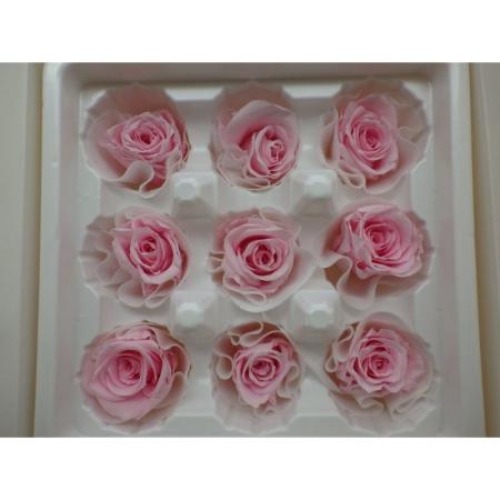 即日★B級特価◎【プリザーブド】GARDEN PALETTE MONO/リサ ローズ 9輪 キャンディーピンク/XGP910-04