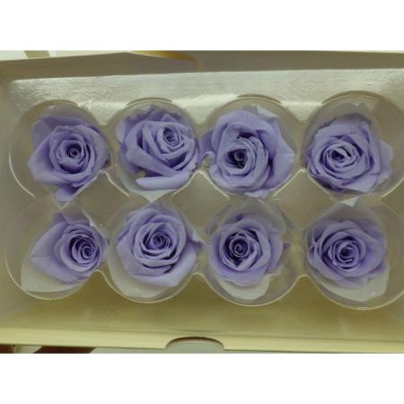 即日★B級特価◎【プリザーブド】GARDEN PALETTE MONO/ミアローズ 8輪 ラベンダー/XGP920-09