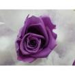 即日★B級特価◎【プリザーブド】GARDEN PALETTE MONO/ミアデミローズ 15輪入 パープル/XGP927-12