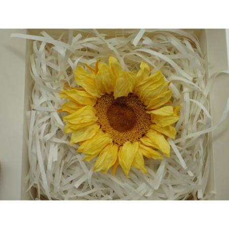 即日★B級特価◎【プリザーブド】GARDEN PALETTE MONO/ヒマワリ サフラン/XGPSF-01