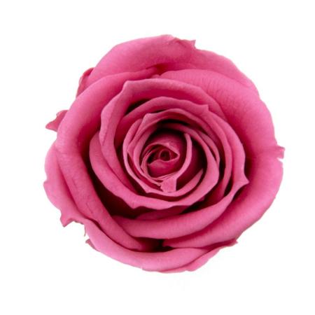 【プリザーブド】GARDEN PALETTE MONO/ミアローズ 8輪  ストロベリー/GP920-53