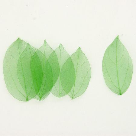 【ドライ】GARDEN PALETTE MONO/ミニスケルトン リーフ グリーン/GPMN-03