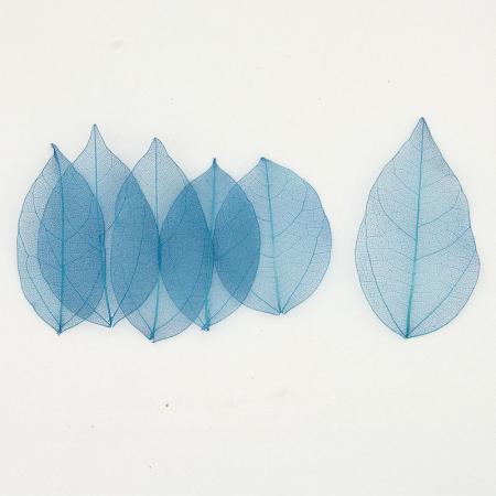 【ドライ】GARDEN PALETTE MONO/ミニスケルトン リーフ インディゴブルー/GPMN-05