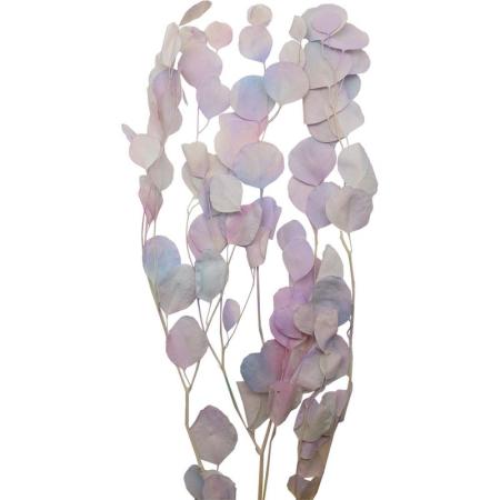【プリザーブド】GARDEN PALETTE MONO/ユーカリポプルス サラシ マーメイド/GPUPB-02