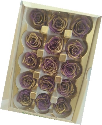 【プリザーブド】GARDEN PALETTE MONO/ミアデミローズ パープルゴールド 15輪/00791GP92712