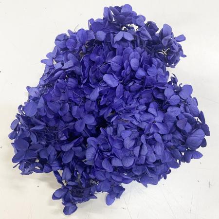 【プリザーブド】GARDEN PALETTE MONO/ピラミッドアジサイ ブルーバイオレット 1箱/GPP-31