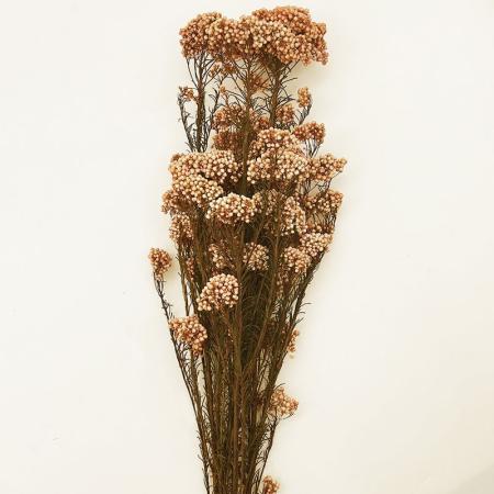 【プリザーブド】GARDEN PALETTE MONO/限定ソフトライスフラワー ピーチピンク/GPRS-11