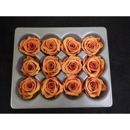 即日★B級特価◎【プリザーブド】ヴェルディッシモ/ペティートローズ 12輪 シャイニーレッド/B級X56637