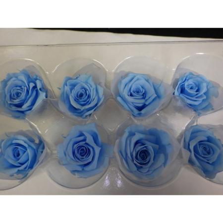 即日★B級特価◎【プリザーブド】GARDEN PALETTE MONO/ミアローズ 8輪  オーシャンブルー/B級XGP920-18