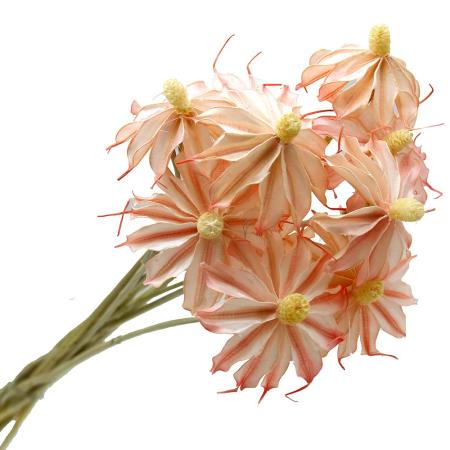 特価◎【ドライ】GARDEN PALETTE MONO/オンシジュウム ライトピンク 10本/GPO-02