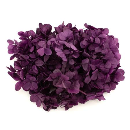 特価◎【プリザーブド】GARDEN PALETTE MONO/アトランティスアジサイ  グレープ 約15g/GPT-22