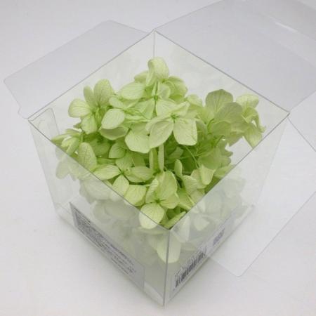 特価◎【プリザーブド】【小分け】GARDEN PALETTE MONO/ピラミッドアジサイ ペールグリーン/00741GPP29