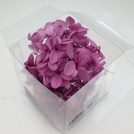 特価◎【プリザーブド】【小分け】GARDEN PALETTE MONO/ピラミッドアジサイ ライトグレープ/00742GPP30