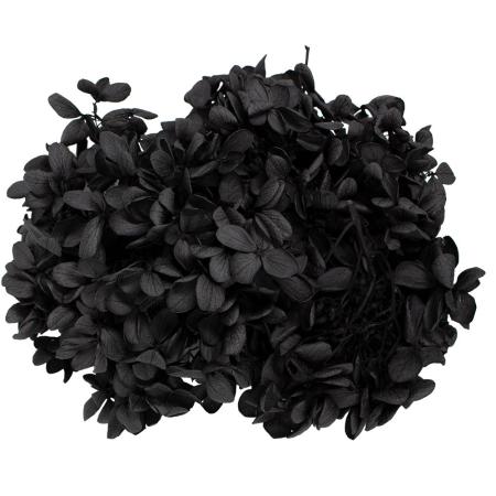 特価◎【プリザーブド】GARDEN PALETTE MONO/ピラミッドアジサイ バルク  ブラック 約100g/GPPU-21