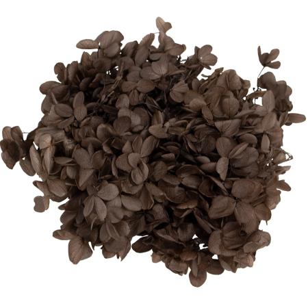 特価◎【プリザーブド】GARDEN PALETTE MONO/ピラミッドアジサイ バルク  コーヒー 約100g/GPPU-27