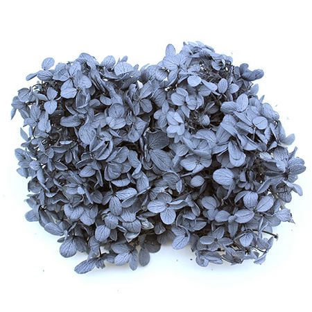 特価◎【プリザーブド】GARDEN PALETTE MONO/ピラミッドアジサイ バルク  アシュレーブルー 約100g/GPPU-28