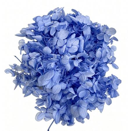 特価◎【プリザーブド】GARDEN PALETTE MONO/ピラミッドアジサイ ラベンダー 約15g/GPP-32