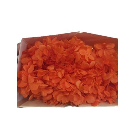 特価◎【プリザーブド】GARDEN PALETTE MONO/ピラミッドアジサイ バレンシアオレンジ 約15g/GPP-33