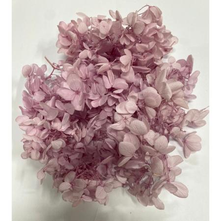 特価◎【プリザーブド】GARDEN PALETTE MONO/ピラミッドアジサイ オーキッドアイス 約15g/GPPBK-05