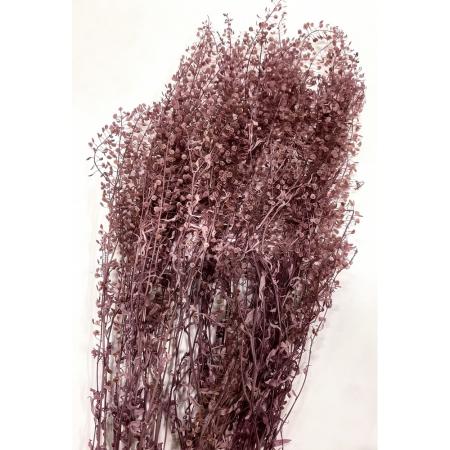 特価◎【プリザーブド】GARDEN PALETTE MONO/グリーン ベール グラス モーブピンク 約22g/GPLE-06