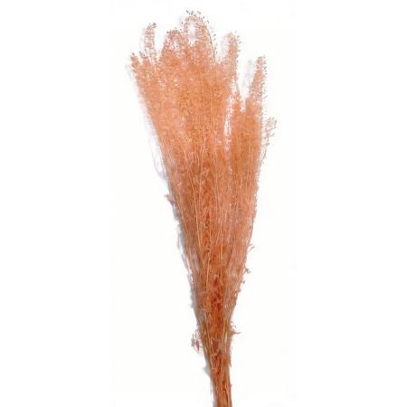 特価◎【プリザーブド】GARDEN PALETTE MONO/グリーン ベール グラス シャンパン 約22g/GPLE-07