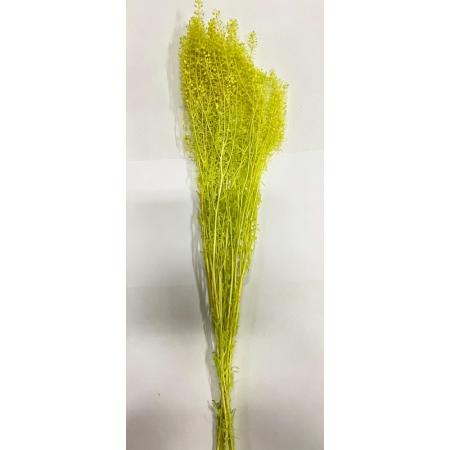 特価◎【プリザーブド】GARDEN PALETTE MONO/グリーン ベール グラス ライムイエロー 約22g/GPLE-11
