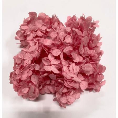 特価◎【プリザーブド】GARDEN PALETTE MONO/アトランテイスアジサイ ストロベリー 約15g/GPT-03