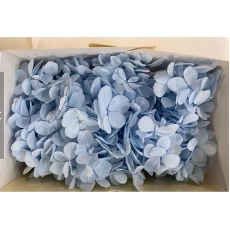 特価◎【プリザーブド】GARDEN PALETTE MONO/アトランテイスアジサイ ブルー 約15g/GPT-07