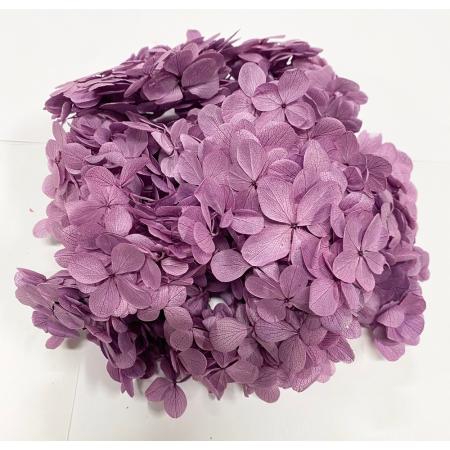 特価◎【プリザーブド】GARDEN PALETTE MONO/アトランテイスアジサイ ライラック 約15g/GPT-17