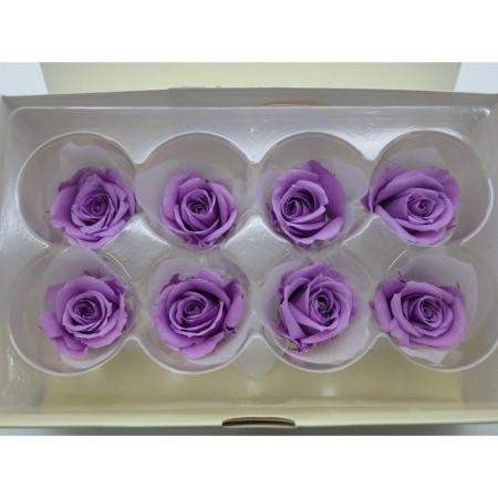 B級特価◎【プリザーブド】GARDEN PALETTE...