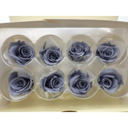 B級特価◎【プリザーブド】GARDEN PALETTE...