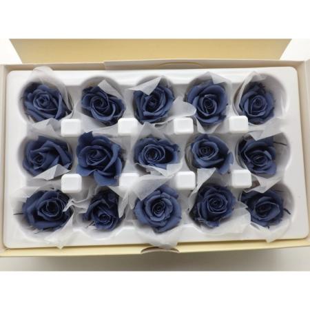 B級特価◎【プリザーブド】GARDEN PALETTE MONO/ミアデミローズ アシュレブルー 15輪/B級XGP927-19