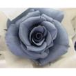 B級特価◎【プリザーブド】GARDEN PALETTE MONO/ミアデミローズ アシュレブルー 15輪/B級XGP927-19