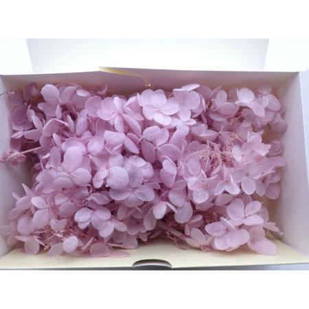 B級特価◎【プリザーブド】GARDEN PALETTE...