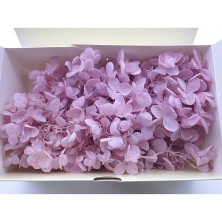 B級特価◎【プリザーブド】GARDEN PALETTE...