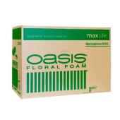 直送】オアシス/ブラックエコ スタンダード(赤箱)48個/K-606 ※返品・代