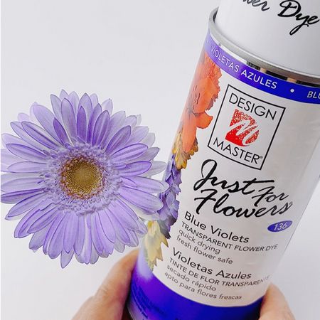 オアシス/Just for flowers(カラースプレー) ブルーバイオレット 400ml/136