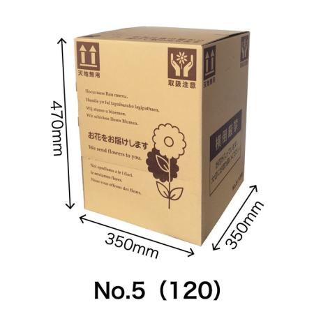 配送ボックス GF-No.5　10枚入920535