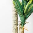 【直送】【人工観葉植物】YDM/マッサンポット　/GLA1200※返品・代引・キャンセル不可