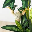 【直送】【人工観葉植物】YDM/マッサンポット　/GLA1200※返品・代引・キャンセル不可