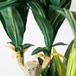 【直送】【人工観葉植物】YDM/マッサンポット　/GLA1200※返品・代引・キャンセル不可