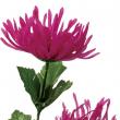 特価◎【造花】YDM/イトギク×2/FF-2779ALAV