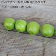 即日★【造花】YDM/アップルピック6P　S　GR/MY034※商品説明をお読み下さい。