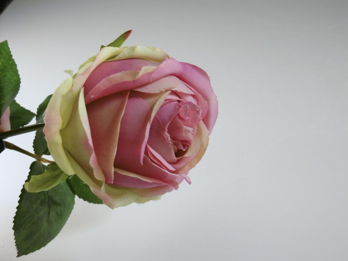 大特価 造花 Ydm ローズマリーアントワネット グリーンピンク Fa6906 G P 通販 はなどんやアソシエ 大特価 造花 Ydm ローズマリーアントワネット グリーンピンク Fa6906 G P 通販 はなどんやアソシエ