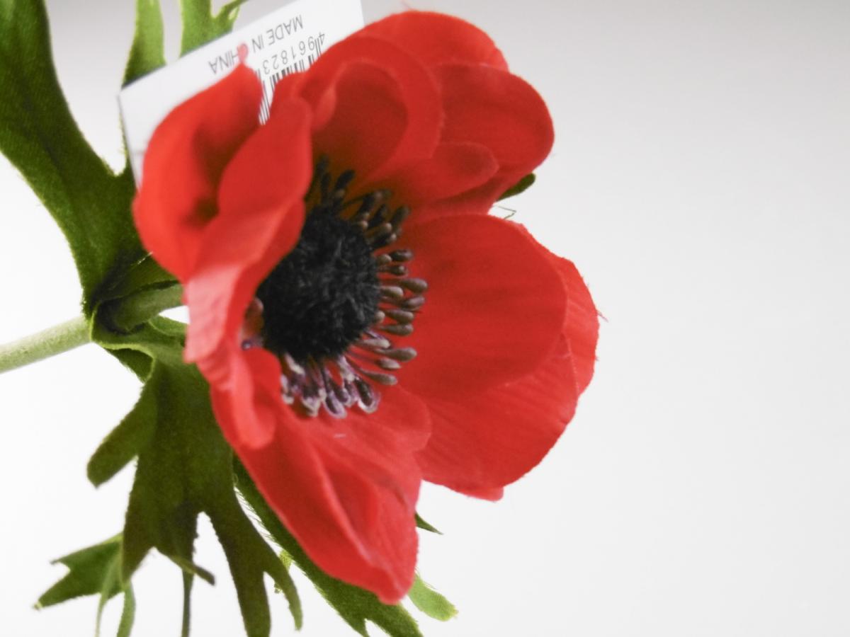 即日 造花 Ydm フレッシュアネモネ レッド Fa6926 R 通販 はなどんやアソシエ 即日 造花 Ydm フレッシュアネモネ レッド Fa6926 R 通販 はなどんやアソシエ