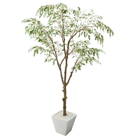 大特価 直送 人工観葉植物 Ydm フイリフィカスツリーポット グリーン Gla1310 Gr 返品 代引不可 通販 はなどんやアソシエ