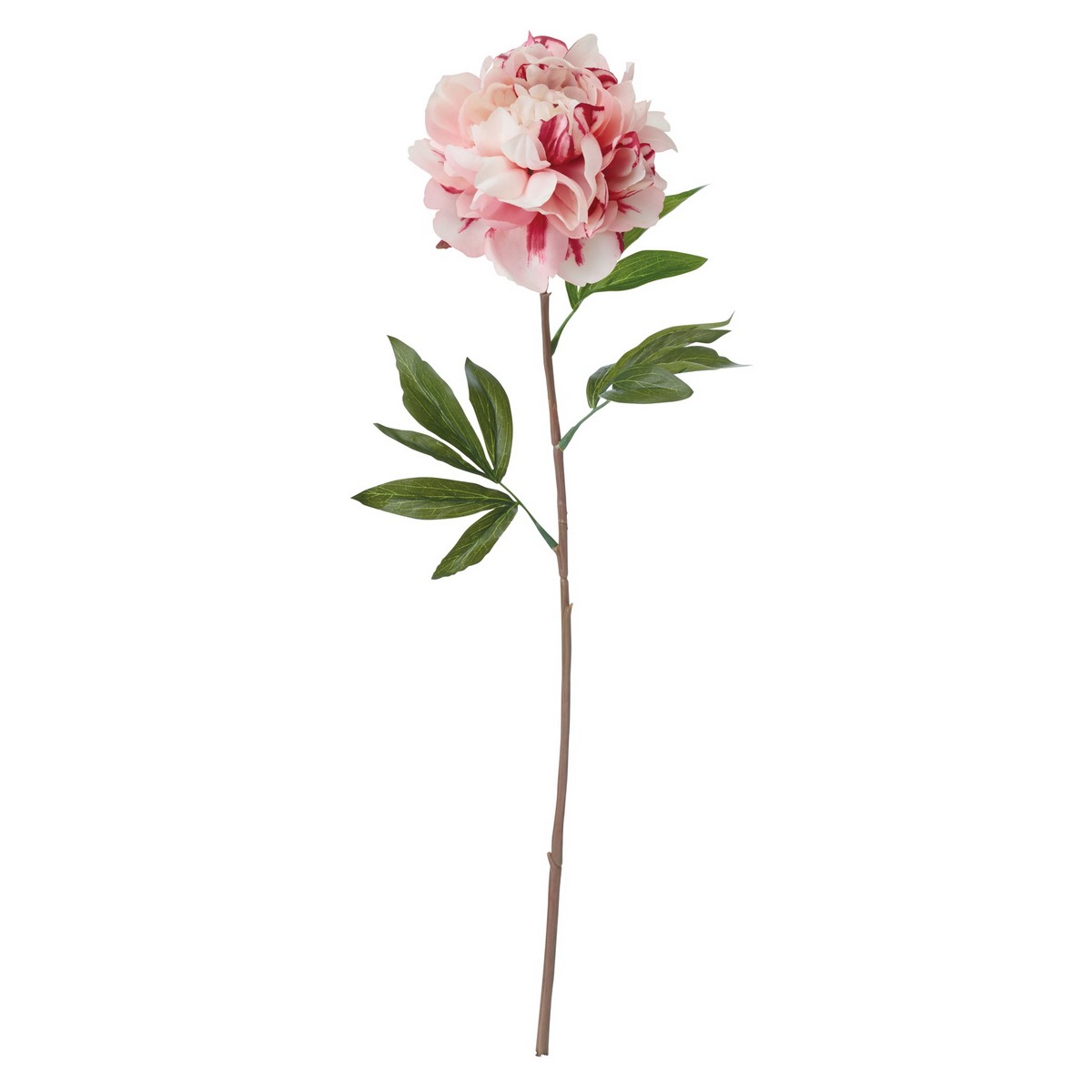 造花 Ydm 雅牡丹 ピンク Fa 7037 P 芍薬 牡丹 通販 はなどんやアソシエ 造花 Ydm 雅牡丹 ピンク Fa 7037 P 芍薬 牡丹 通販 はなどんやアソシエ