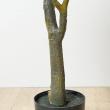 【直送】【人工観葉植物】YDM/180CMパキラ グリーン/GLP-1522-GR ※返品代引不可