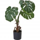 人工観葉植物】YDM/フレッシュモンステラ グリーン/GLP-1514-GR - 花材
